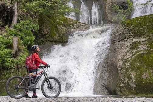 adobestock adobestock - adobestock_272618216.jpg